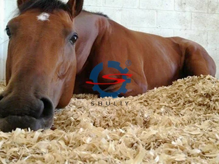 Sawdust-for-horse-bedding
