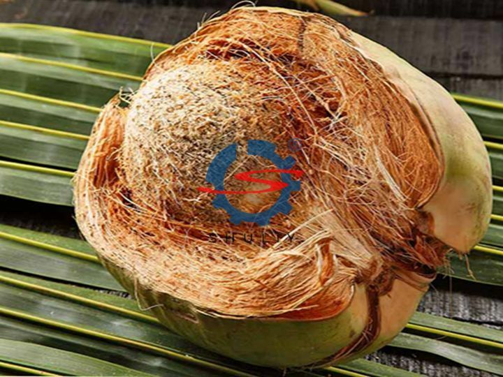 coconut-coir